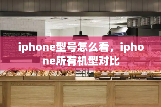 iphone型号怎么看，iphone所有机型对比-第1张图片-星选测评