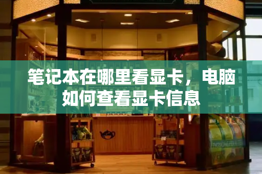 笔记本在哪里看显卡，电脑如何查看显卡信息-第1张图片-星选测评