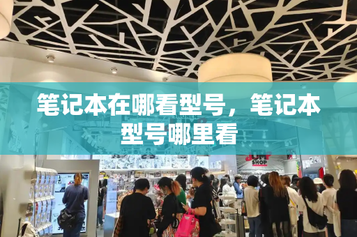 笔记本在哪看型号，笔记本型号哪里看