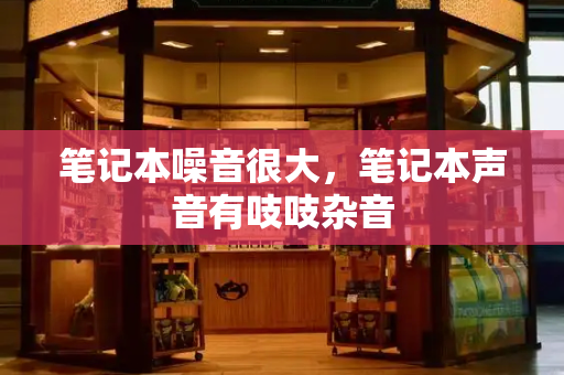笔记本噪音很大，笔记本声音有吱吱杂音-第1张图片-星选测评