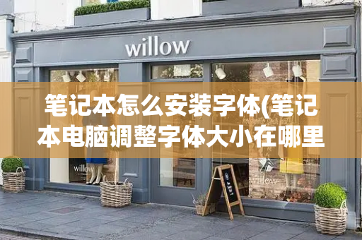 笔记本怎么安装字体(笔记本电脑调整字体大小在哪里)-第1张图片-星选测评