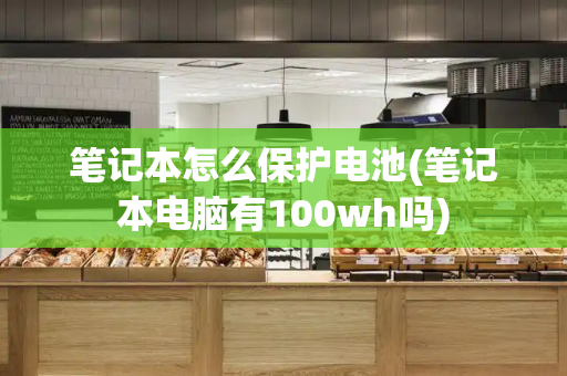 笔记本怎么保护电池(笔记本电脑有100wh吗)