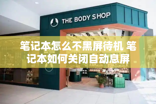 笔记本怎么不黑屏待机 笔记本如何关闭自动息屏-第1张图片-星选测评