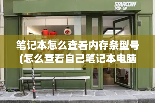 笔记本怎么查看内存条型号(怎么查看自己笔记本电脑型号)-第1张图片-星选测评