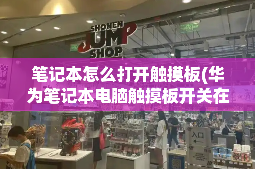 笔记本怎么打开触摸板(华为笔记本电脑触摸板开关在哪)-第1张图片-星选测评