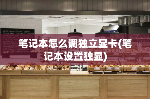 笔记本怎么调独立显卡(笔记本设置独显)-第1张图片-星选测评