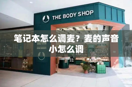 笔记本怎么调麦？麦的声音小怎么调