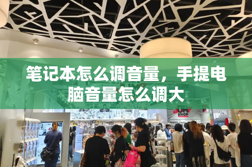 笔记本怎么调音量，手提电脑音量怎么调大