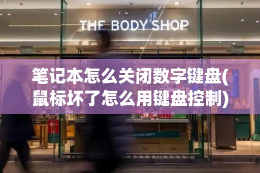 笔记本怎么关闭数字键盘(鼠标坏了怎么用键盘控制)