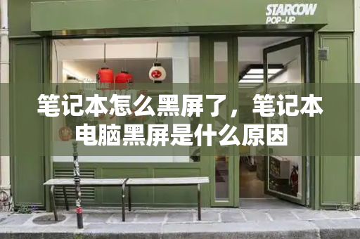 笔记本怎么黑屏了，笔记本电脑黑屏是什么原因-第1张图片-星选测评