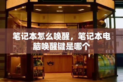 笔记本怎么唤醒，笔记本电脑唤醒键是哪个-第1张图片-星选测评