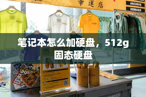 笔记本怎么加硬盘，512g固态硬盘