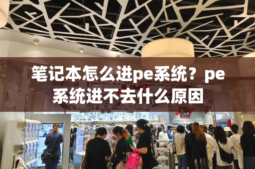 笔记本怎么进pe系统？pe系统进不去什么原因
