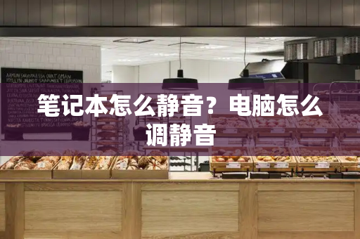 笔记本怎么静音？电脑怎么调静音-第1张图片-星选测评