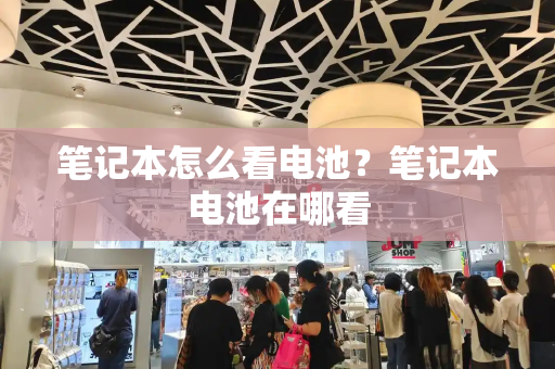 笔记本怎么看电池？笔记本电池在哪看