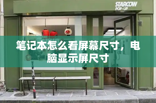 笔记本怎么看屏幕尺寸，电脑显示屏尺寸-第1张图片-星选测评