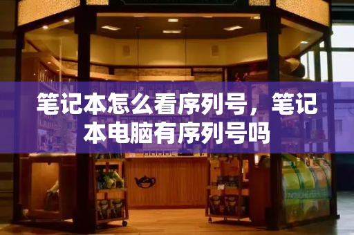 笔记本怎么看序列号，笔记本电脑有序列号吗