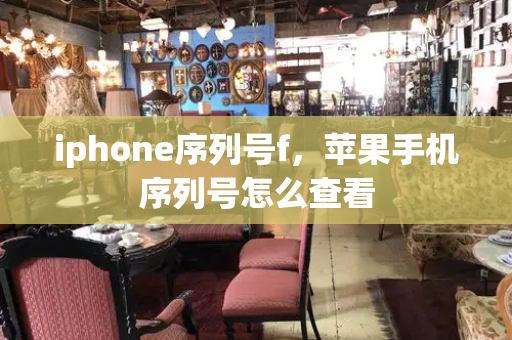 iphone序列号f，苹果手机序列号怎么查看