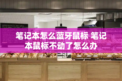 笔记本怎么蓝牙鼠标 笔记本鼠标不动了怎么办-第1张图片-星选测评