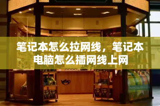 笔记本怎么拉网线，笔记本电脑怎么插网线上网-第1张图片-星选测评