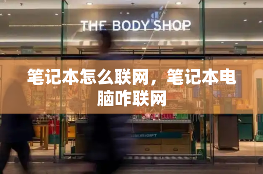 笔记本怎么联网，笔记本电脑咋联网