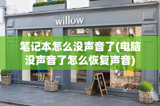 笔记本怎么没声音了(电脑没声音了怎么恢复声音)