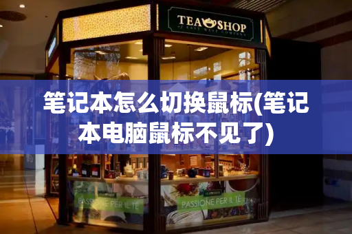 笔记本怎么切换鼠标(笔记本电脑鼠标不见了)