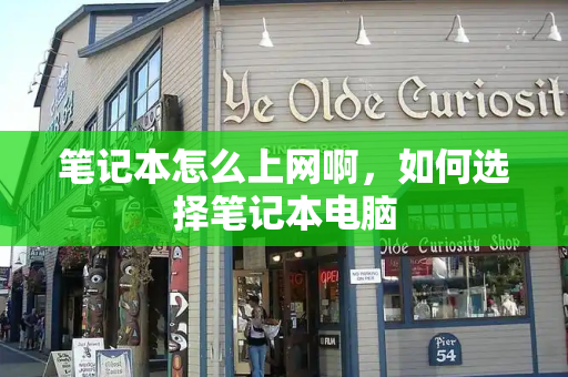 笔记本怎么上网啊，如何选择笔记本电脑