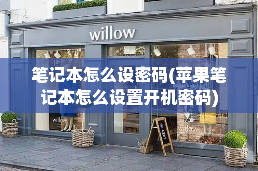 笔记本怎么设密码(苹果笔记本怎么设置开机密码)