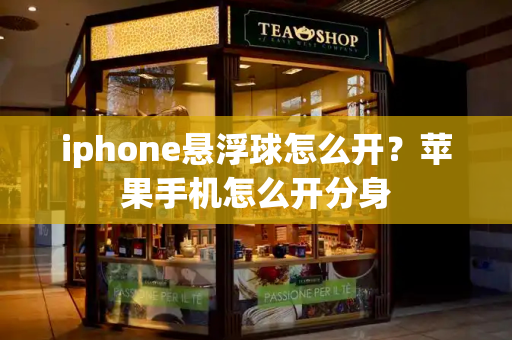 iphone悬浮球怎么开？苹果手机怎么开分身-第1张图片-星选测评