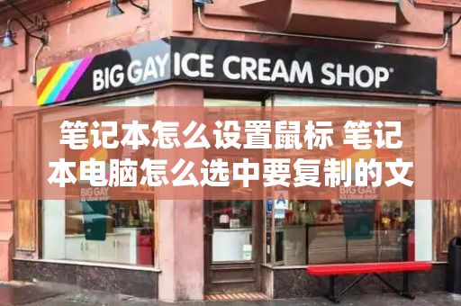 笔记本怎么设置鼠标 笔记本电脑怎么选中要复制的文字-第1张图片-星选测评