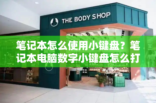 笔记本怎么使用小键盘？笔记本电脑数字小键盘怎么打开