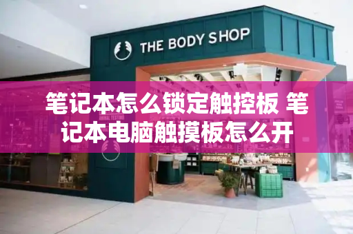 笔记本怎么锁定触控板 笔记本电脑触摸板怎么开-第1张图片-星选测评