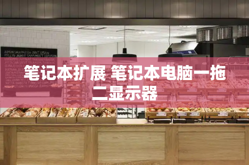 笔记本扩展 笔记本电脑一拖二显示器-第1张图片-星选测评