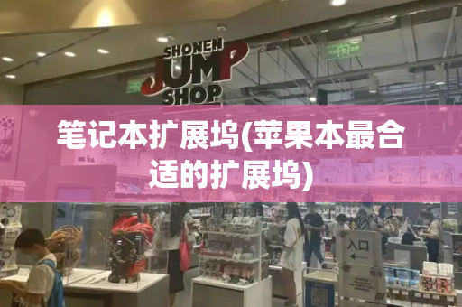 笔记本扩展坞(苹果本最合适的扩展坞)