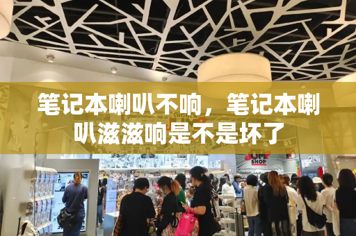 笔记本喇叭不响，笔记本喇叭滋滋响是不是坏了-第1张图片-星选测评