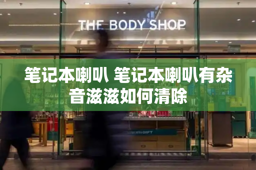 笔记本喇叭 笔记本喇叭有杂音滋滋如何清除-第1张图片-星选测评