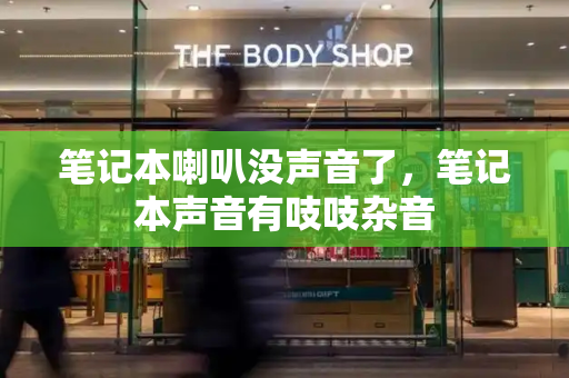笔记本喇叭没声音了，笔记本声音有吱吱杂音