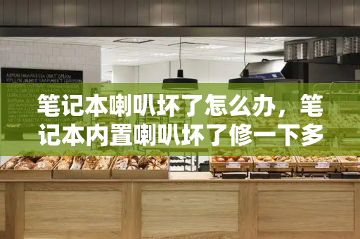 笔记本喇叭坏了怎么办，笔记本内置喇叭坏了修一下多少钱-第1张图片-星选测评
