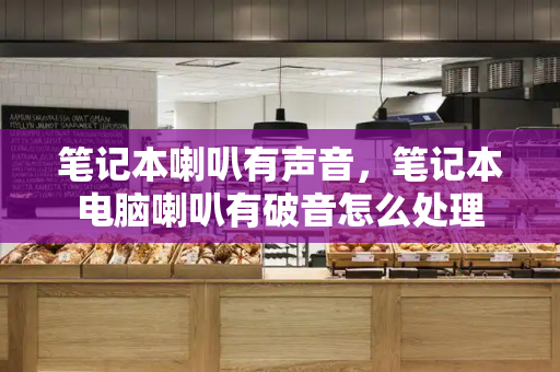 笔记本喇叭有声音，笔记本电脑喇叭有破音怎么处理