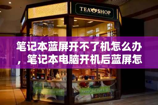 笔记本蓝屏开不了机怎么办，笔记本电脑开机后蓝屏怎么解决-第1张图片-星选测评