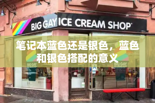 笔记本蓝色还是银色，蓝色和银色搭配的意义-第1张图片-星选测评