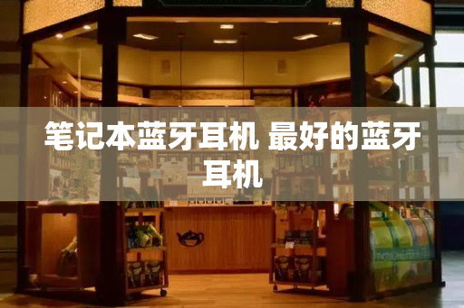笔记本蓝牙耳机 最好的蓝牙耳机