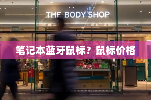 笔记本蓝牙鼠标？鼠标价格-第1张图片-星选测评