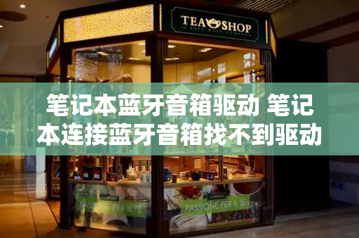 笔记本蓝牙音箱驱动 笔记本连接蓝牙音箱找不到驱动程序-第1张图片-星选测评