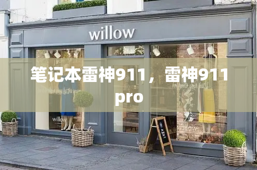 笔记本雷神911，雷神911pro-第1张图片-星选测评