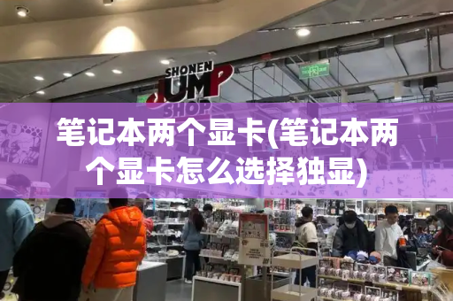 笔记本两个显卡(笔记本两个显卡怎么选择独显)-第1张图片-星选测评