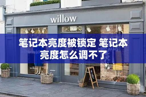 笔记本亮度被锁定 笔记本亮度怎么调不了-第1张图片-星选测评