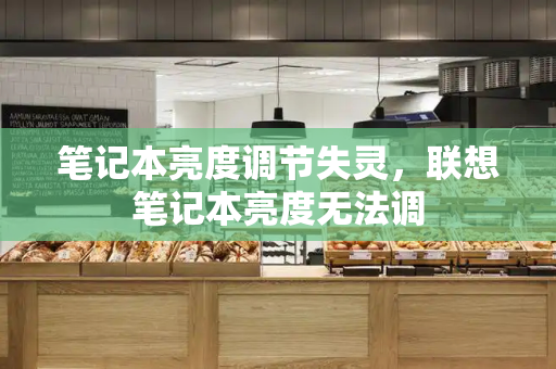 笔记本亮度调节失灵，联想笔记本亮度无法调