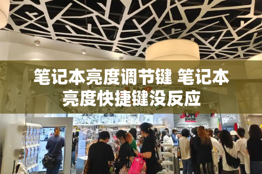 笔记本亮度调节键 笔记本亮度快捷键没反应-第1张图片-星选测评
